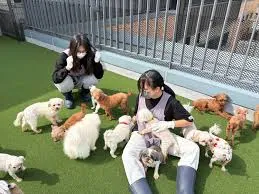 유기동물 · 동물복지
